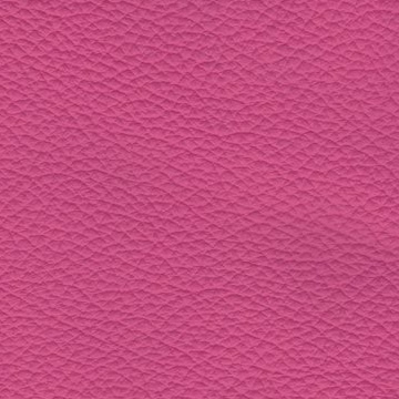 Sierra-2021 pink